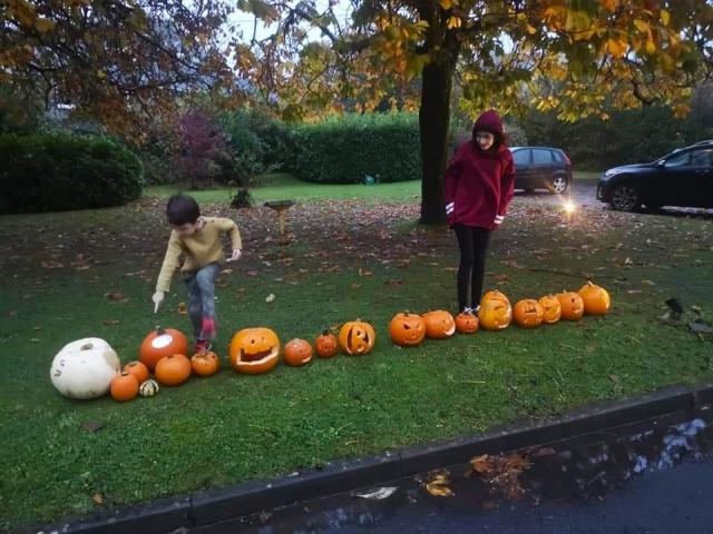 Halloween Pumpkin Trail: 